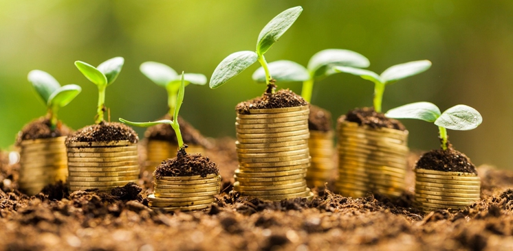 新三板遇成長&ldquo;煩惱&rdquo;：  市場流動性低迷 一日僅兩成企業(yè)有成交