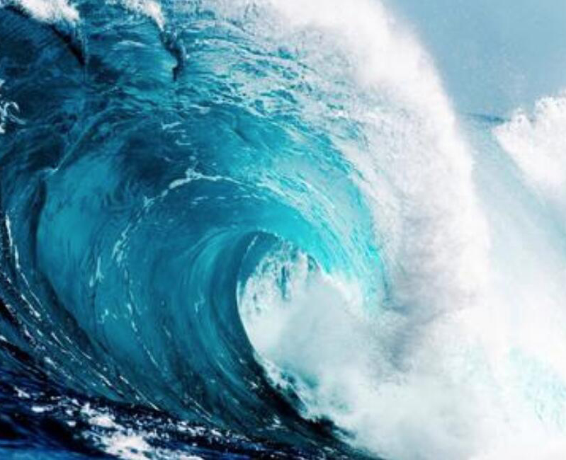 【財經(jīng)翻譯官】浪奔、浪流