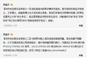 羅昌平:將公布舉報(bào)劉鐵男“來(lái)龍”