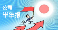 2013上市公司半年報(bào)