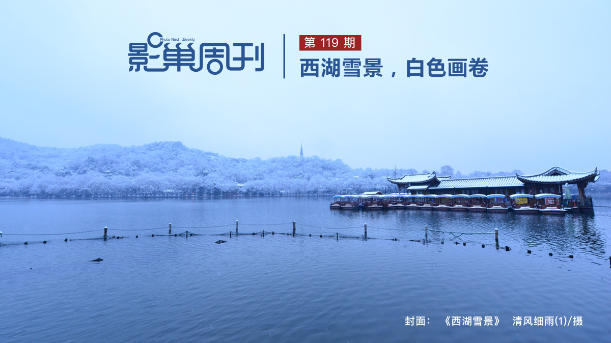 【影巢周刊】西湖雪景，白色畫卷