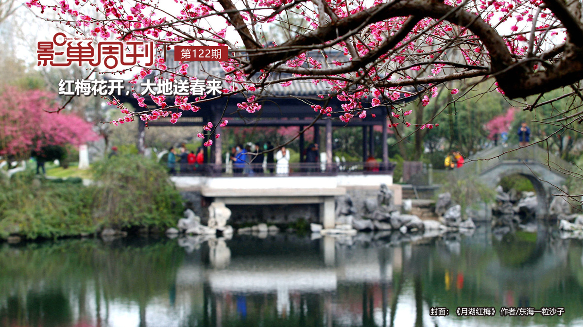 【影巢周刊】紅梅花開，大地送春來(lái)