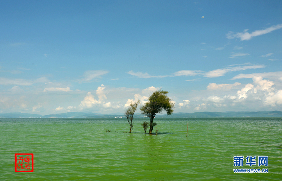 陽光昆明，爽爽的春城