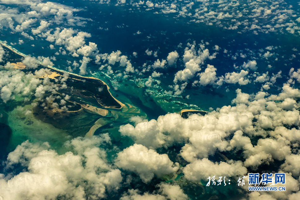 飛躍太平洋，跨越秋與春