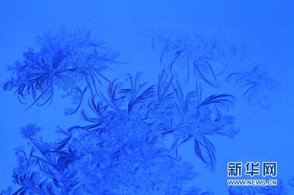 忽如一夜寒冬來，千家萬戶窗花開