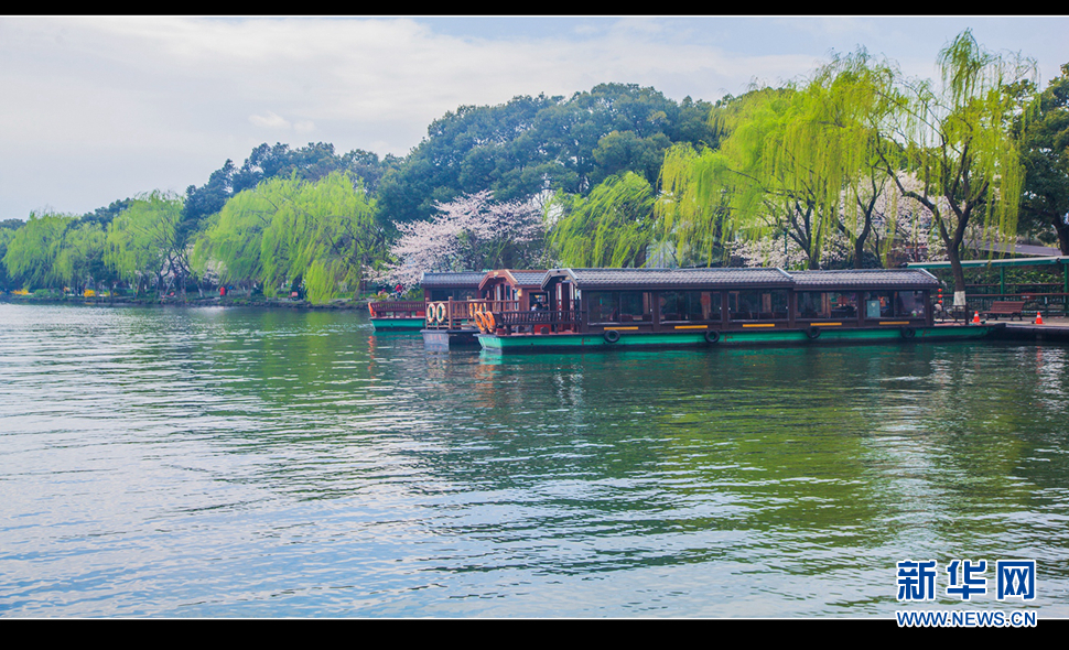 聽風(fēng)西湖柳，聞香龍井茶