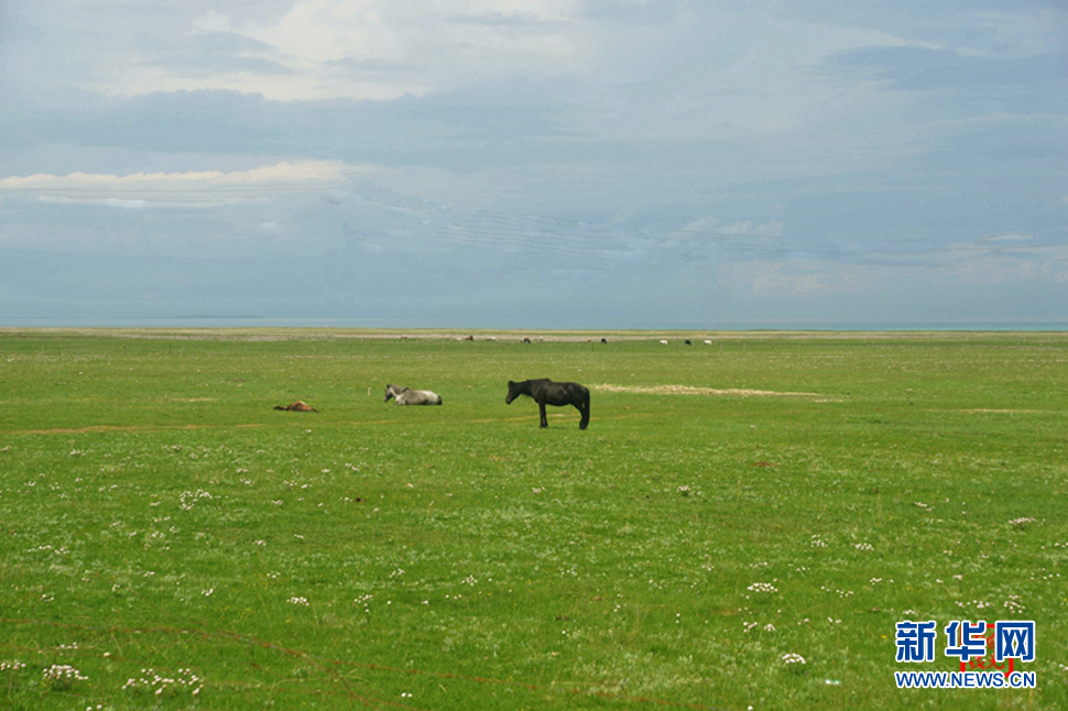 高原放歌之那山、那寺、那朵云