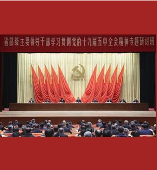 新華社評論員：心懷“國之大者”，主動擔當作為