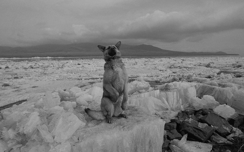 線云強(qiáng)作品:東方第一哨，最早迎接太陽(yáng)的士兵