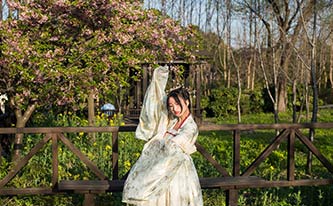 徜徉櫻花花海，來場動漫之旅