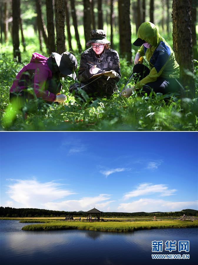 （十九大&middot;讀報(bào)告 話民生）（6）加快生態(tài)文明體制改革，建設(shè)美麗中國(guó)