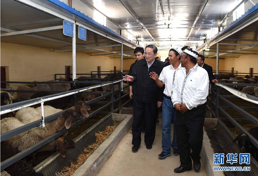 9月27日，中共中央政治局常委、全國(guó)政協(xié)主席、中央代表團(tuán)團(tuán)長(zhǎng)俞正聲率中央代表團(tuán)部分成員赴喀什地區(qū)莎車縣看望各族干部群眾。這是俞正聲在新疆生產(chǎn)建設(shè)兵團(tuán)第三師莎車農(nóng)場(chǎng)實(shí)地察看萬(wàn)只羊養(yǎng)殖基地。新華社記者 饒愛(ài)民 攝