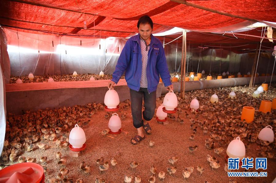 （新華全媒頭條&middot;圖文互動）（8）赤水：別了，貧困！