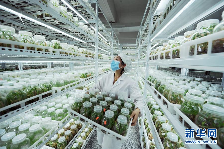 （新華全媒頭條&middot;兩會精神看落實(shí)&middot;圖文互動）（1）適應(yīng)發(fā)展新方位 奮進(jìn)決勝長征路