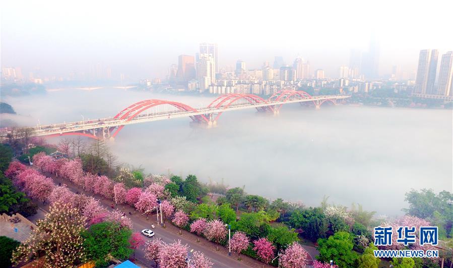 （鏡觀中國&middot;新華網）（7）新華社國內照片一周精選