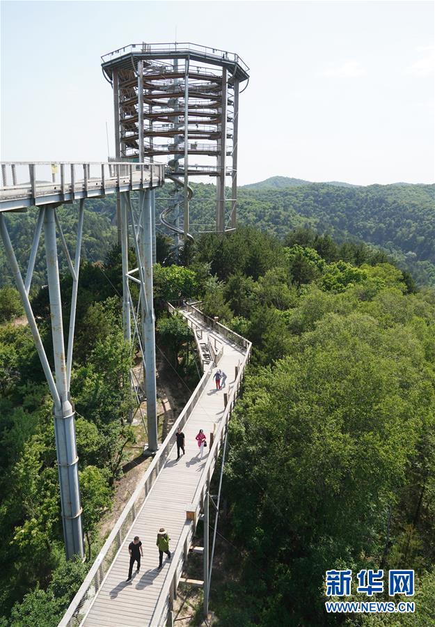 （壯闊東方潮 奮進(jìn)新時(shí)代&mdash;&mdash;慶祝改革開(kāi)放40年）（14）退耕還林20年 延安大地譜新篇