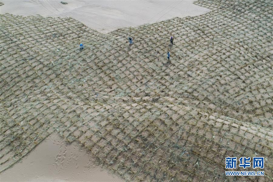 (新華全媒頭條·圖文互動(dòng))(8)荒漠化治理的“中國(guó)智慧”