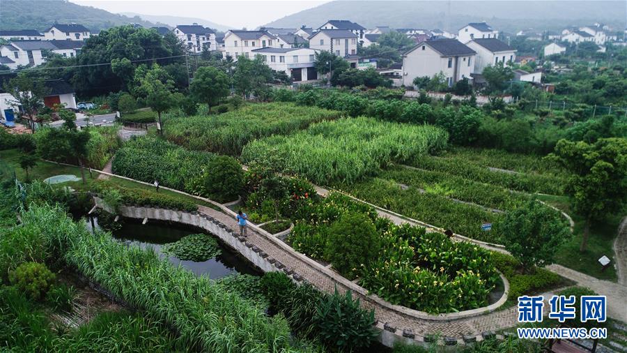 （在習(xí)近平新時代中國特色社會主義思想指引下&mdash;&mdash;新時代新作為新篇章&middot;圖文互動）（1）稀奇！治污濕地成了休閑公園&mdash;&mdash;江蘇蘇州全域推進農(nóng)村生活污水治理