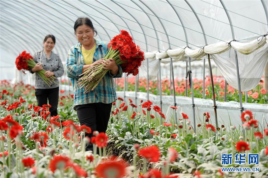 （大江奔流&mdash;&mdash;來自長江經(jīng)濟(jì)帶的報道&middot;新華全媒頭條&middot;圖文互動）（3）擘畫新時代中國發(fā)展新坐標(biāo)&mdash;&mdash;深入推動長江經(jīng)濟(jì)帶發(fā)展述評  