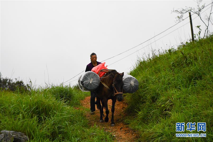 （新華全媒頭條&middot;圖文互動(dòng)）（4）一個(gè)人，一座山&mdash;&mdash;劉真茂的生命守望
