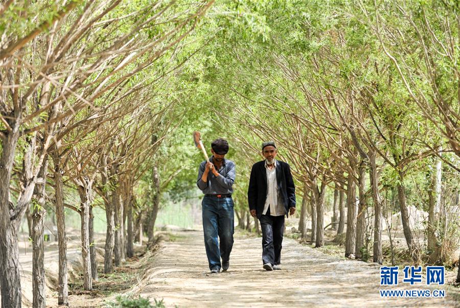 （新華全媒頭條&middot;誠信建設(shè)萬里行&middot;圖文互動）（3）一諾動昆侖&mdash;&mdash;父子半世紀接力為英雄守靈