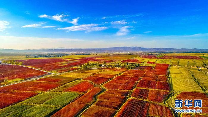 秋收的中國，你想象不到的美！但更美的是&hellip;&hellip;