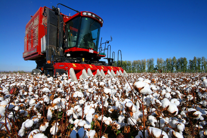 秋收的中國，你想象不到的美！但更美的是&hellip;&hellip;