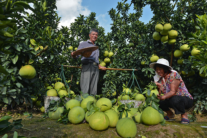 秋收的中國，你想象不到的美！但更美的是&hellip;&hellip;