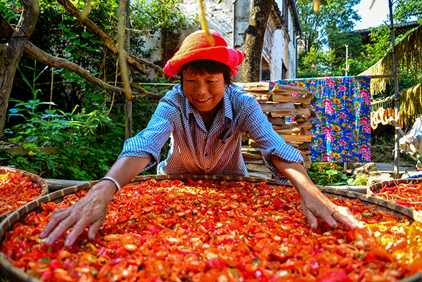 秋收的中國，你想象不到的美！但更美的是&hellip;&hellip;