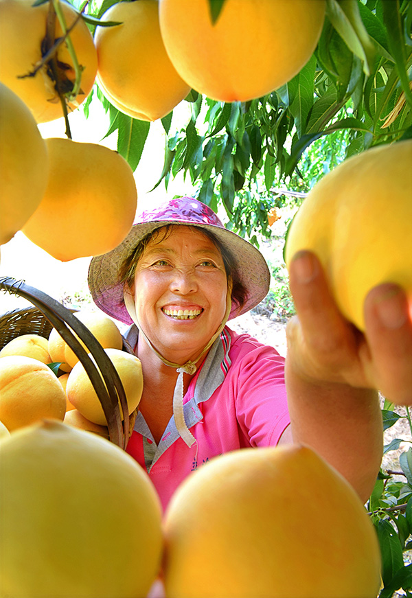 秋收的中國，你想象不到的美！但更美的是&hellip;&hellip;