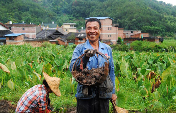 秋收的中國，你想象不到的美！但更美的是&hellip;&hellip;