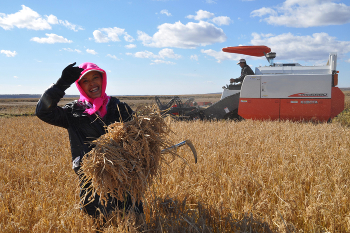 秋收的中國，你想象不到的美！但更美的是&hellip;&hellip;