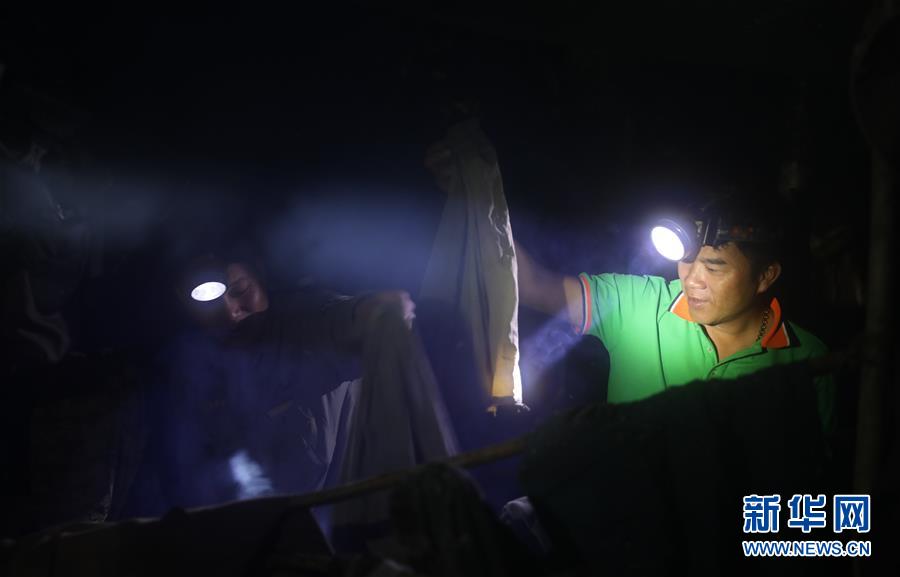 （新華全媒頭條&middot;圖文互動(dòng)）（9）歸來的雨林 