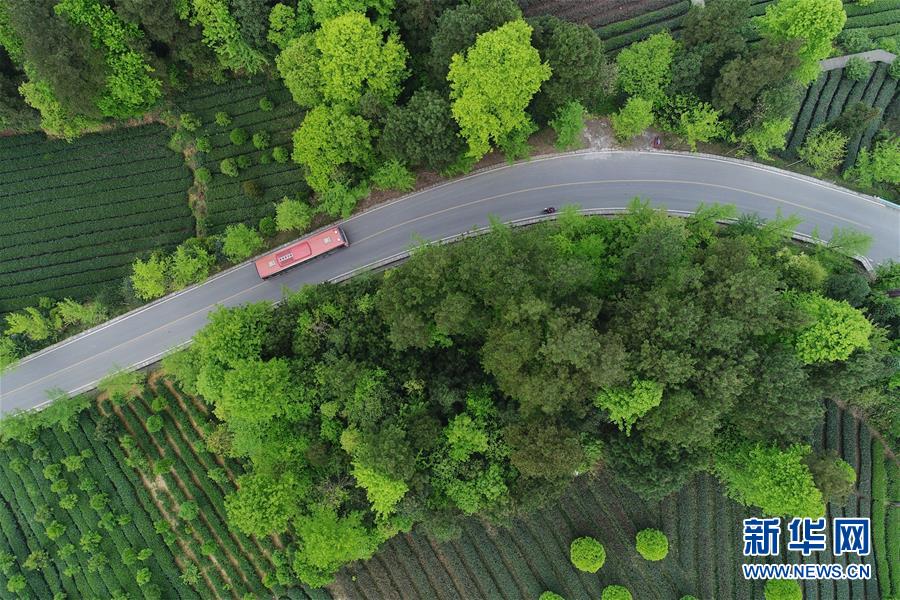 (新華全媒頭條·圖文互動)(6)希望灑在金色田野——寫在鄉(xiāng)村振興戰(zhàn)略實施一周年之際
