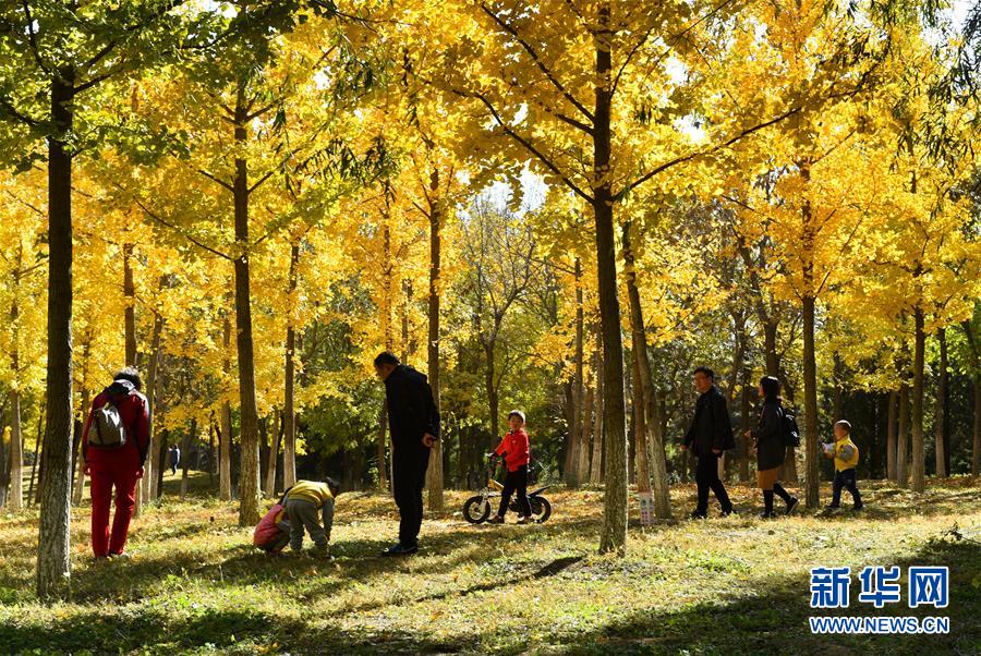 (百城百縣百企調研行·圖文互動)(2)生態(tài) 文明 宜居——北京城市副中心未來之城正在崛起