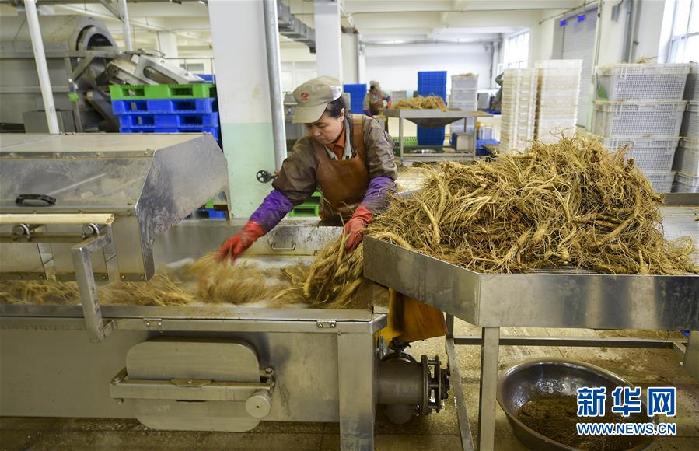 （百城百縣百企調(diào)研行&middot;圖文互動）（5）吉林集安：邊陲&ldquo;綠色明珠&rdquo;為何如此閃亮？