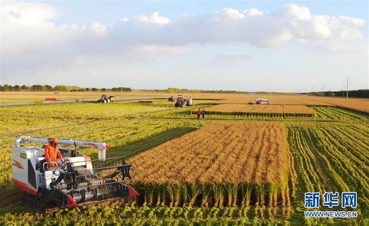 （在習(xí)近平新時(shí)代中國(guó)特色社會(huì)主義思想指引下&mdash;&mdash;新時(shí)代新作為新篇章&middot;圖文互動(dòng)）（2）&ldquo;北大倉(cāng)&rdquo;加速&ldquo;市場(chǎng)化之變&rdquo;