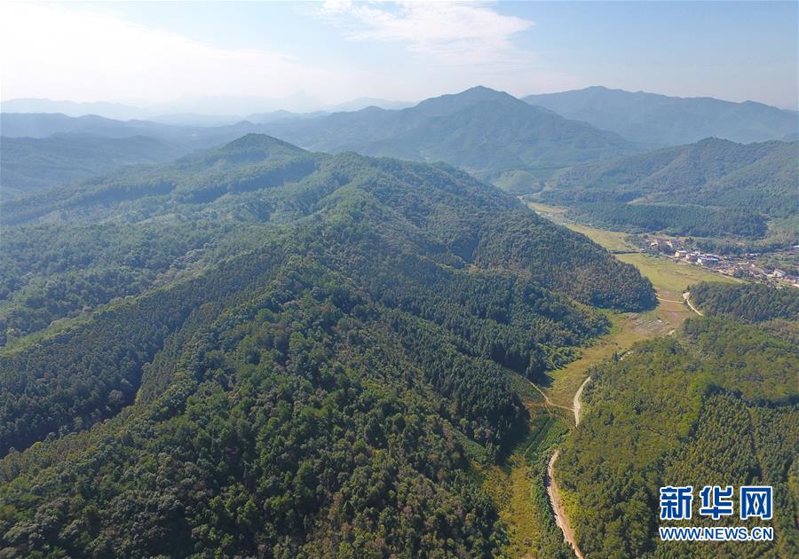 （在習(xí)近平新時代中國特色社會主義思想指引下&middot;慶祝改革開放40周年&middot;綠色發(fā)展&middot;圖文互動）（3）向陽花木易為春&mdash;&mdash;綠色發(fā)展之&ldquo;木&rdquo;的故事