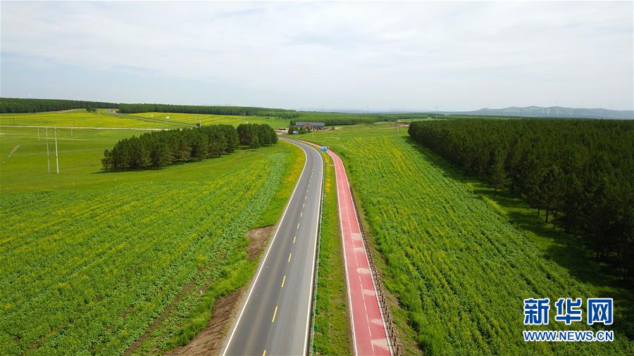 （新華全媒頭條&middot;圖文互動(dòng)）（4）那一抹綠色，走進(jìn)越來(lái)越多人心里&mdash;&mdash;河北塞罕壩續(xù)寫(xiě)新時(shí)代綠色傳奇
