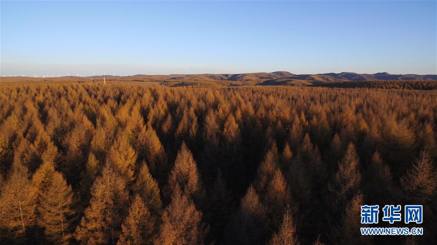 （新華全媒頭條&middot;圖文互動(dòng)）（6）那一抹綠色，走進(jìn)越來(lái)越多人心里&mdash;&mdash;河北塞罕壩續(xù)寫(xiě)新時(shí)代綠色傳奇