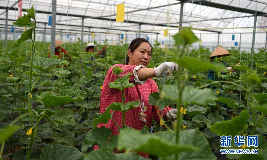 （新華全媒頭條&middot;圖文互動(dòng)）（11）心中有夢(mèng)想，腳下就有力量&mdash;&mdash;寫在&ldquo;中國(guó)夢(mèng)&rdquo;提出六周年之際