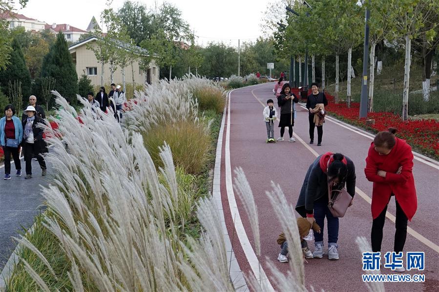 （新華全媒頭條&middot;圖文互動）（5）復蘇的河流&mdash;&mdash;北京涼水河再調(diào)查