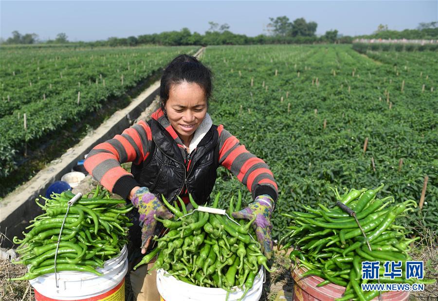 （輝煌60年&middot;壯美新廣西&middot;圖文互動(dòng)）（2）攜手描繪八桂大地上的美麗畫卷&mdash;&mdash;寫在廣西壯族自治區(qū)成立60周年之際