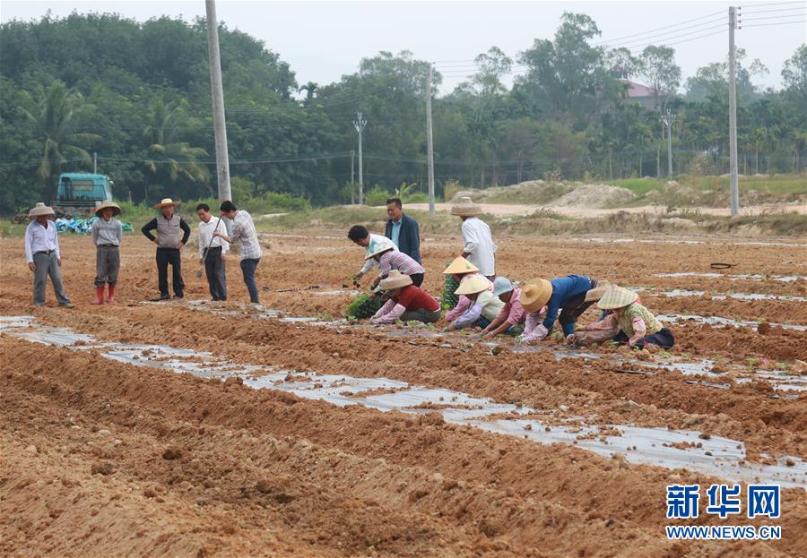 （新華視點&middot;回望2018&middot;圖文互動）（7）2018年新華社曝光多起破壞生態(tài)事件，記者年底追訪發(fā)現(xiàn)&hellip;&hellip;