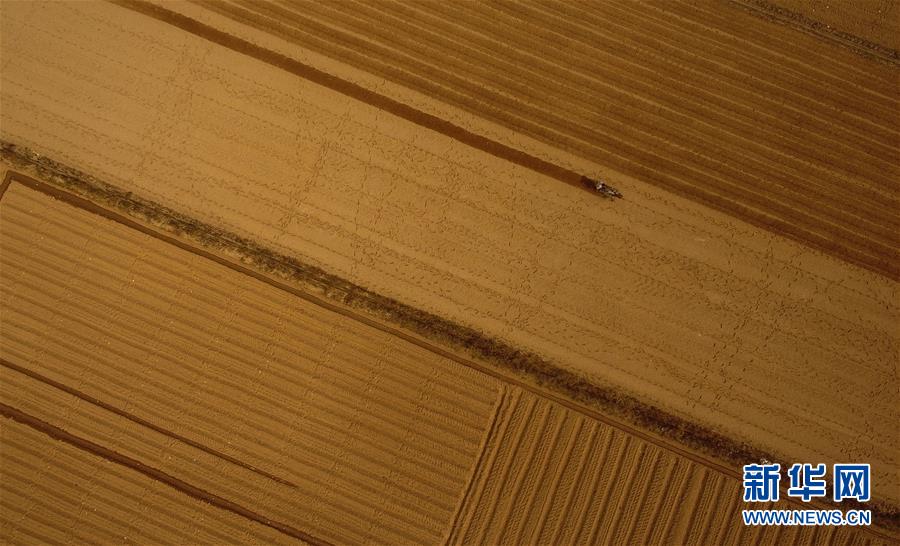 (百城百縣百企調(diào)研行·圖文互動(dòng))(2)海南農(nóng)墾:農(nóng)業(yè)“國(guó)家隊(duì)”打贏改革“翻身仗”