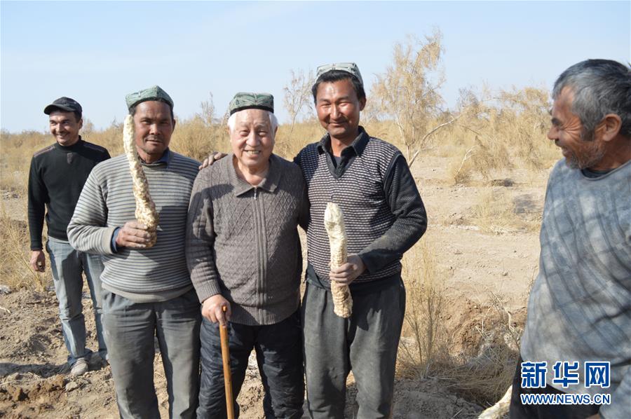 （圖文互動(dòng)）（3）&ldquo;劉紅柳&rdquo;，一輩子大漠扎根種樹(shù)