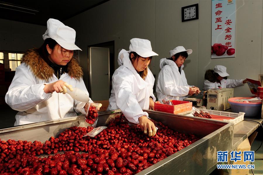 (來自一線的調(diào)查報(bào)告·圖文互動(dòng))(2)從“填飽肚子”到“過好日子”——改革開放40年河南農(nóng)業(yè)三重“蝶變記”