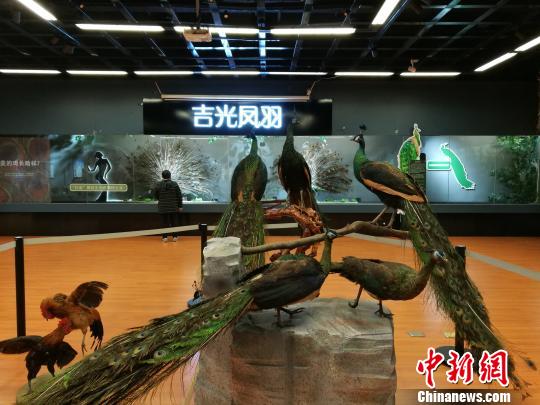 先有雞還是先有蛋？這個科普展覽有點&ldquo;不一般&rdquo;