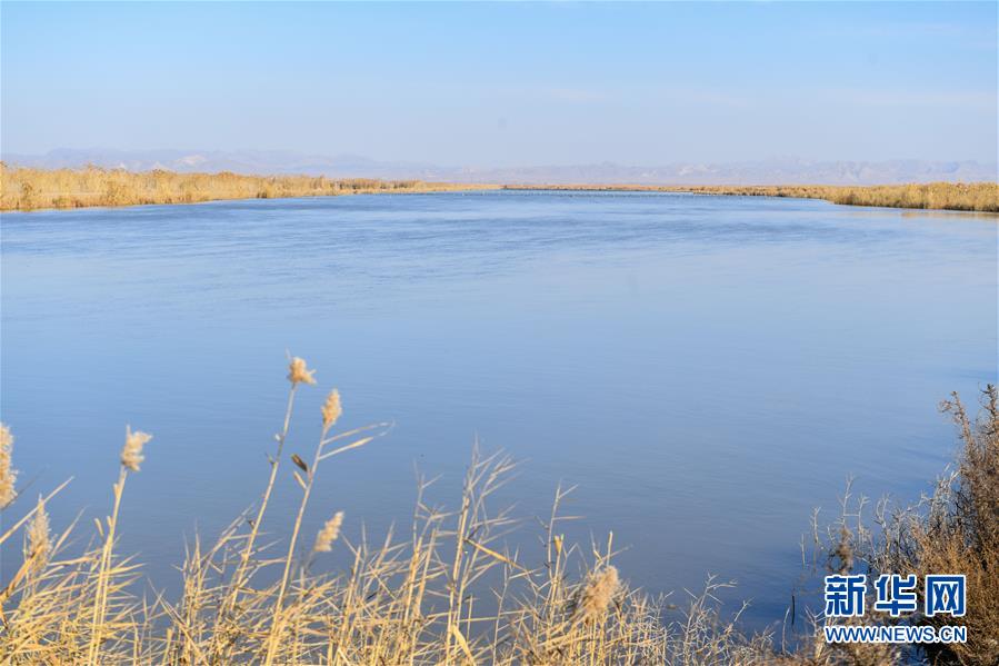 (在習(xí)近平新時(shí)代中國特色社會(huì)主義思想指引下——新時(shí)代新作為新篇章·圖文互動(dòng))(1)打響綠色品牌 “四控”治污增效——內(nèi)蒙古巴彥淖爾探索農(nóng)業(yè)高質(zhì)量發(fā)展