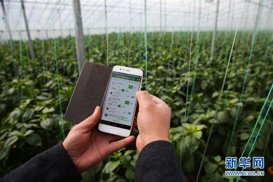 （新華全媒頭條&middot;圖文互動）（8）聚焦高質(zhì)量，躍上新臺階&mdash;&mdash;新年開局看中國經(jīng)濟(jì)信心和潛力